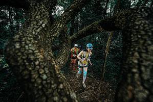 BIB: 
                            <button type="button" onclick="openModal(25685869)" class="btn btn-primary btn-sm float-right btn-popup" data-toggle="modal" data-target=".modal-high-quality">
                        <i class="fas fa-shopping-cart"></i> Add to Cart
                    </button>
                                            <button type="button" onclick="isThisMe(25685869, true)" class="btn btn-success btn-sm float-right btn-popup btn-isme hidden" data-toggle="tooltip" data-placement="bottom" title="นี่คือรูปของคุณใช่ไหม คลิกที่นี่เพื่อเอาเข้าอัลบั้ม">
                        <i class="fas fa-plus"></i> Add to album
                    </button>
                    <button type="button" onclick="isThisMe(25685869, false)" class="btn btn-warning btn-sm float-right btn-popup btn-isnotme hidden">
                        <i class="fas fa-ban"></i> Remove from album
                    </button>